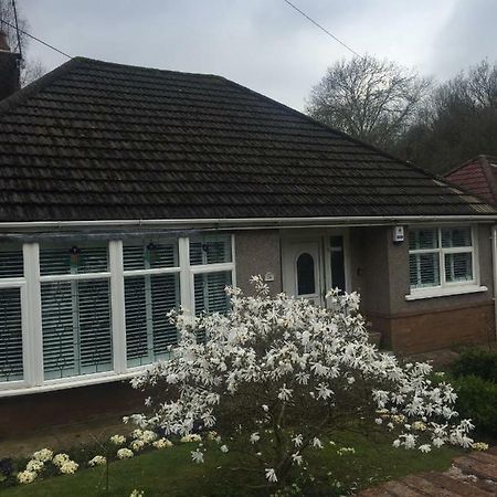 Treetops Newport (Gwent) Exterior foto