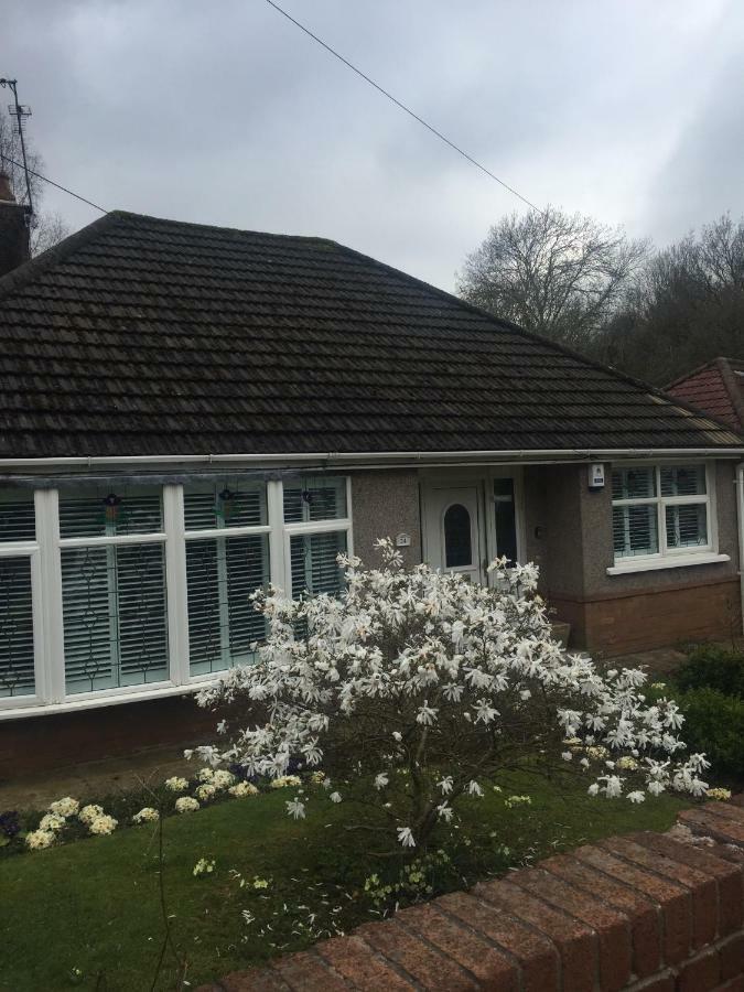 Treetops Newport (Gwent) Exterior foto